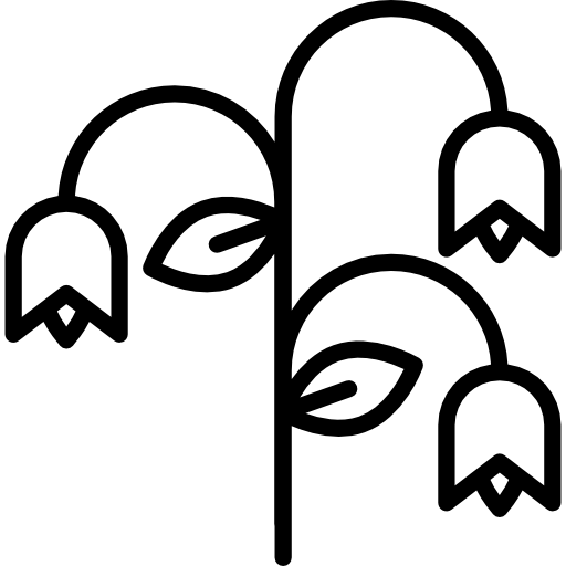 fresia Special Lineal icono