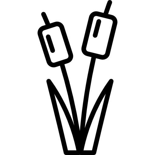 Reed bed Special Lineal icon
