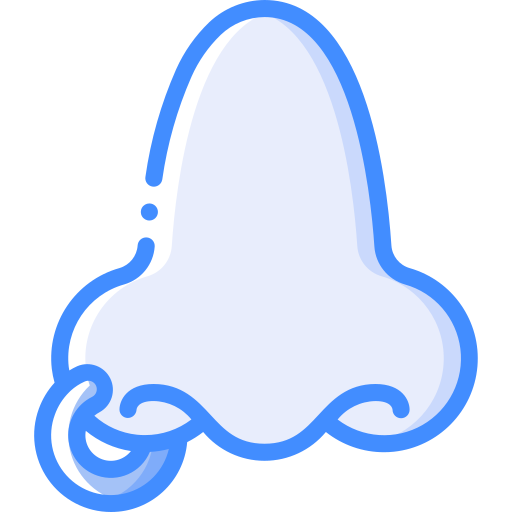 neus Basic Miscellany Blue icoon