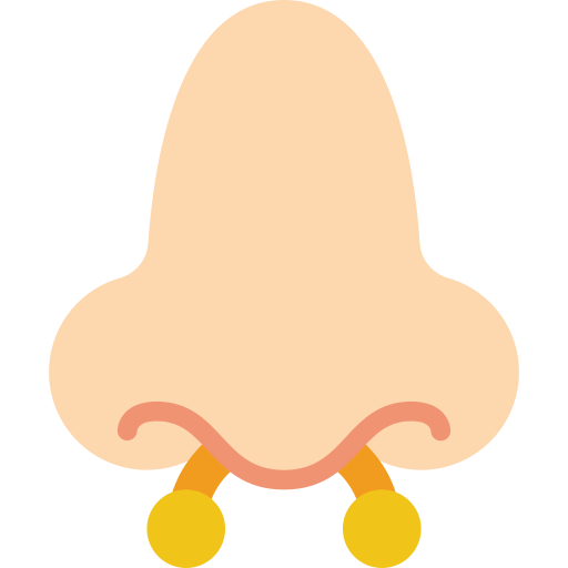 鼻 Basic Miscellany Flat icon