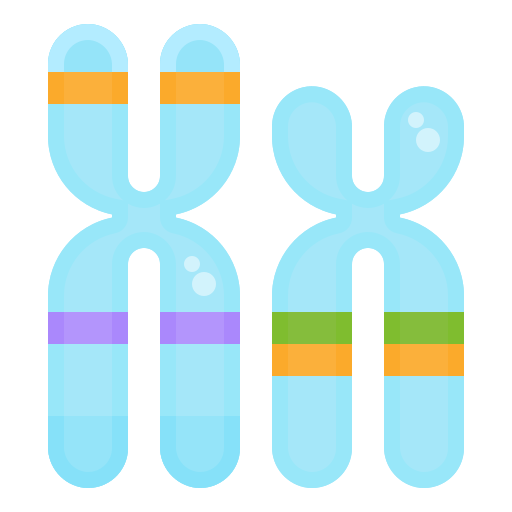 cromosoma dDara Flat icono