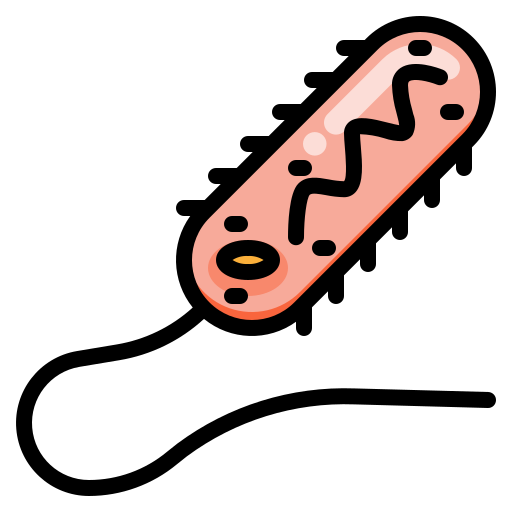 Bacteria dDara Lineal Color icon