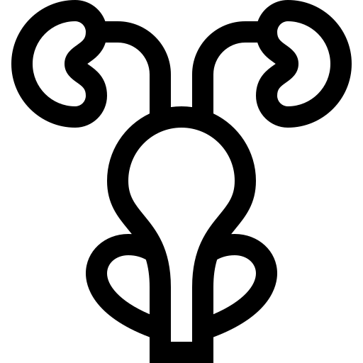 prostata Basic Straight Lineal icona