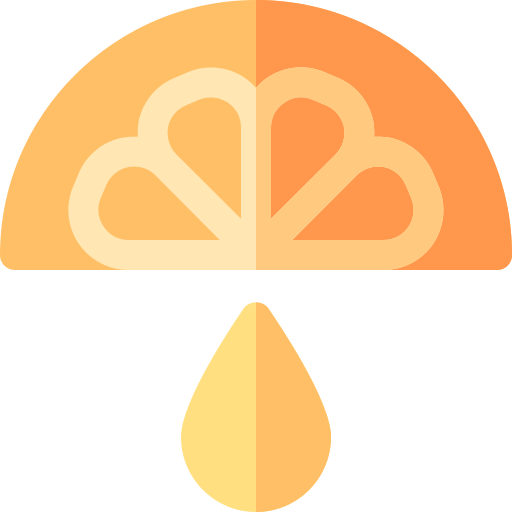 オレンジ Basic Rounded Flat icon