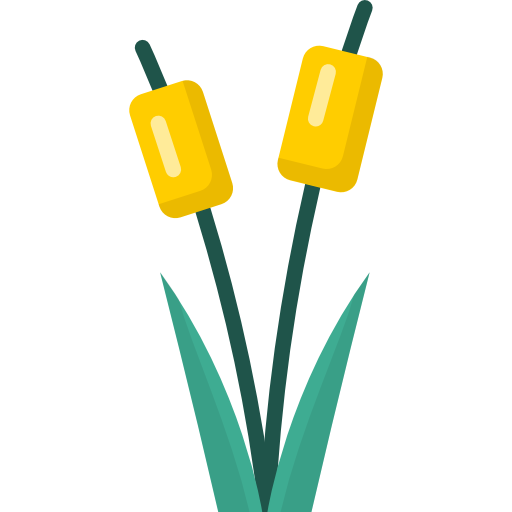 Reed bed Special Flat icon