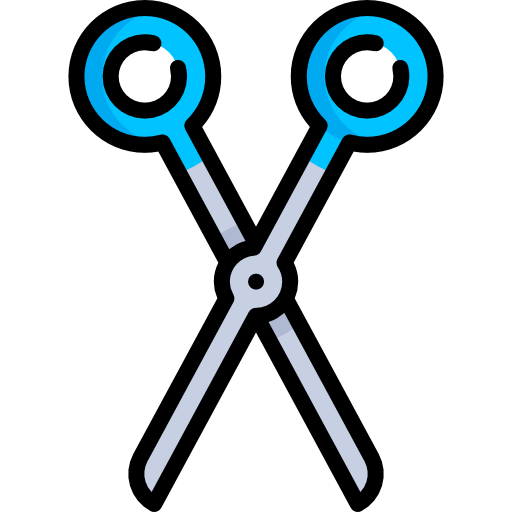 Scissors Special Lineal color icon