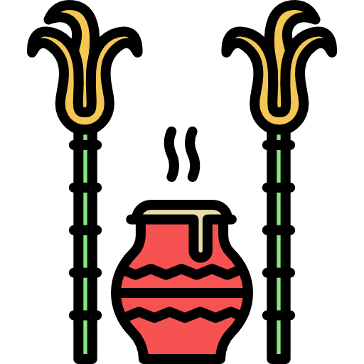 indio Special Lineal color icono