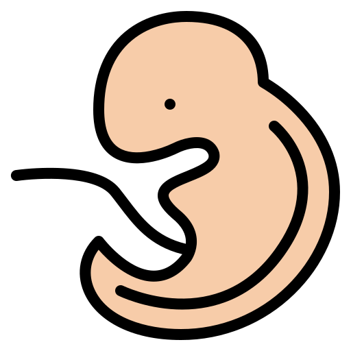 embrione Iconixar Lineal Color icona