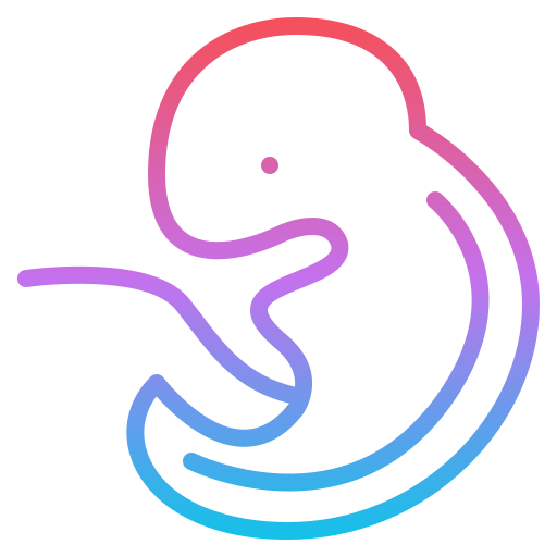 Embryo Iconixar Gradient icon