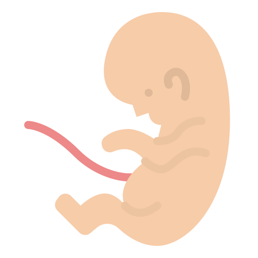 胎児 Iconixar Flat icon