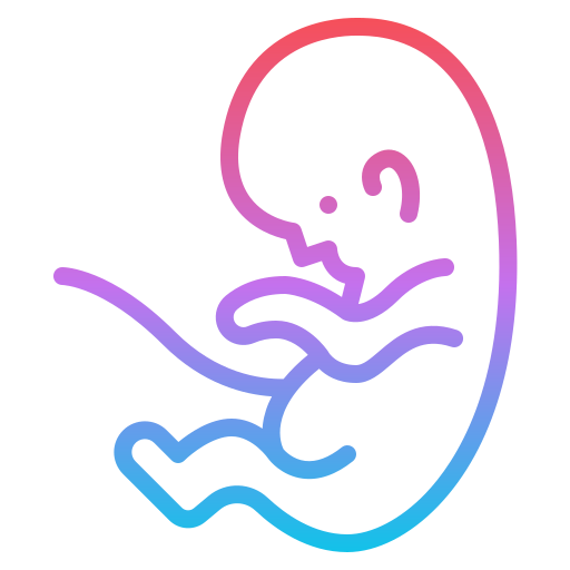 胎児 Iconixar Gradient icon