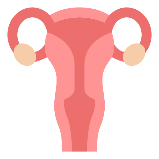 Uterus Iconixar Flat icon