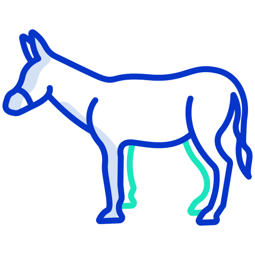 Donkey Icongeek26 Outline Colour icon