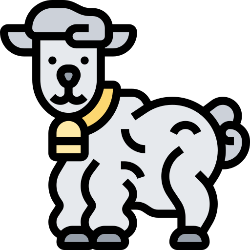 Lamb Meticulous Lineal Color icon