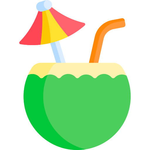 Coconut Special Flat icon