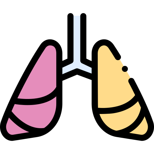 肺癌 Detailed Rounded Lineal color icon