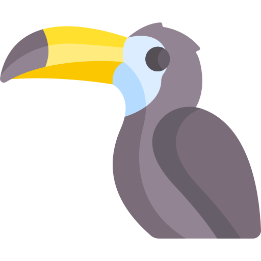 toucan Special Flat Icône