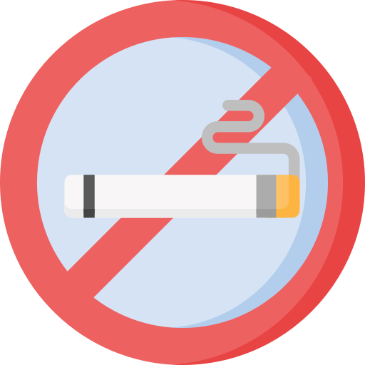 niet roken Special Flat icoon