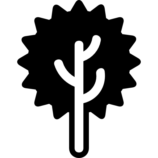 Tree of radial foliage shape  icon
