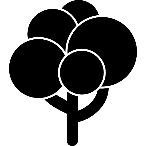 czarny kształt drzewa z kulkami liści  ikona