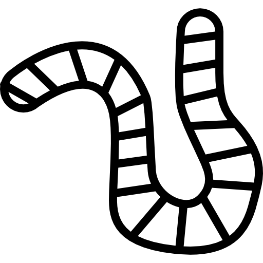 Worm outline inside a circle  icon
