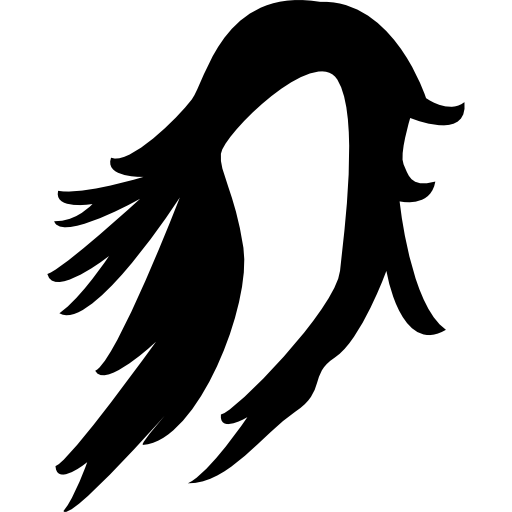 lange haarperücke  icon