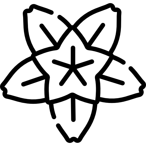 벚꽃 Special Lineal icon