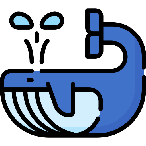 Whale Special Lineal color icon