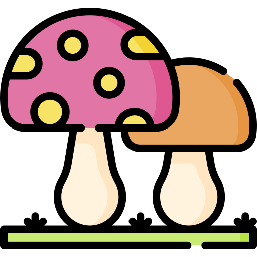 Mushrooms Special Lineal color icon