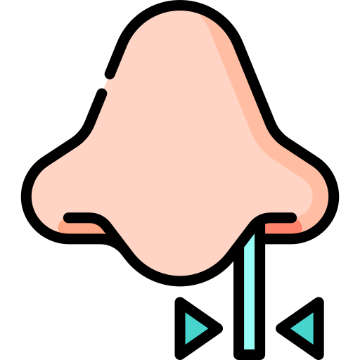 nasal Special Lineal color icono