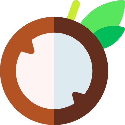 Coconut Basic Rounded Flat icon