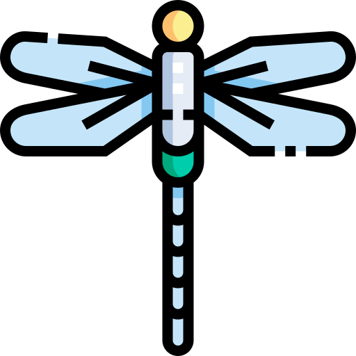 Dragonfly Detailed Straight Lineal color icon