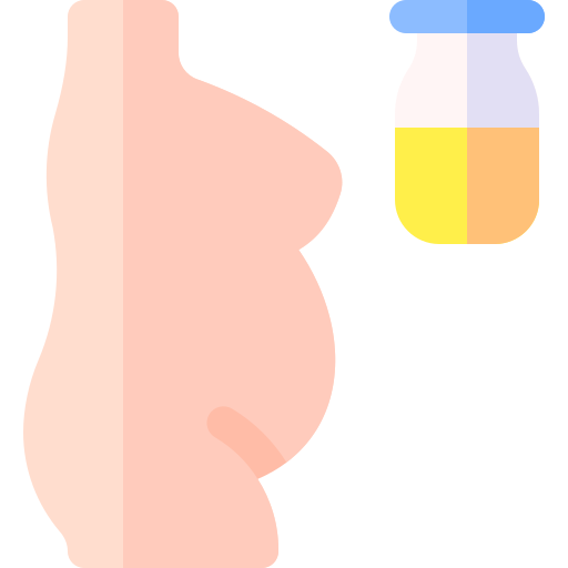 embarazada Basic Rounded Flat icono