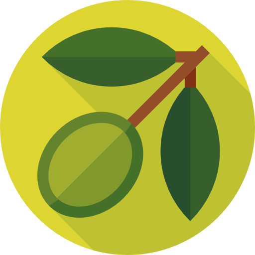 Olive Flat Circular Flat icon