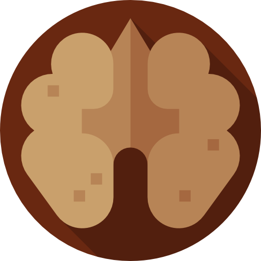 orzech Flat Circular Flat ikona