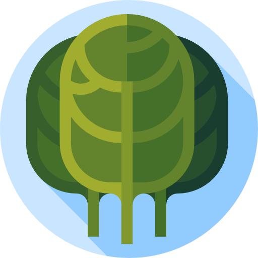 Spinach Flat Circular Flat icon