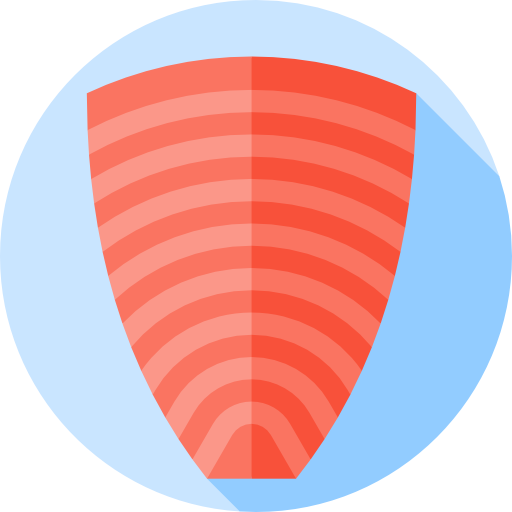 Salmon Flat Circular Flat icon