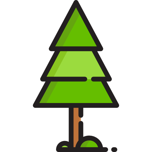 Pine Special Lineal color icon