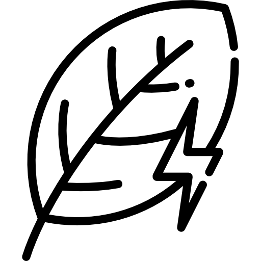 葉 Special Lineal icon