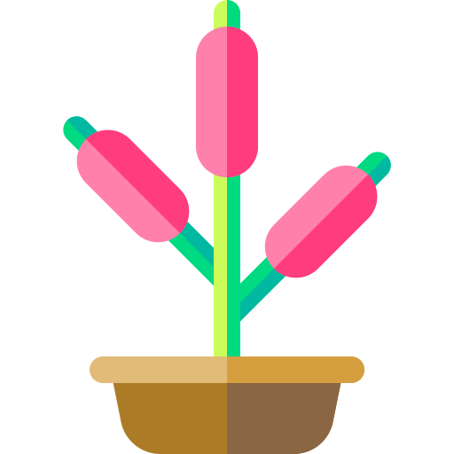 植物 Basic Rounded Flat icon