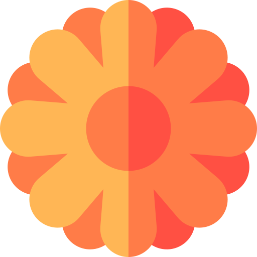 crisantemo Basic Straight Flat icona