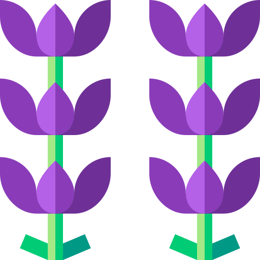 lavendel Basic Straight Flat icon