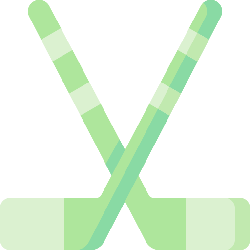 Ice hockey Special Flat icon