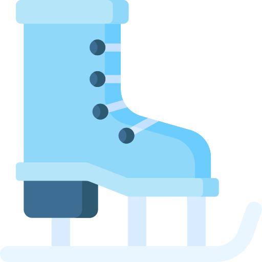 Ice skate Special Flat icon
