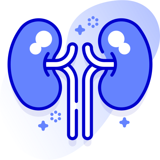 腎臓 Special Ungravity Lineal icon