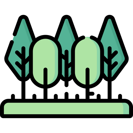 bosque Special Lineal color icono