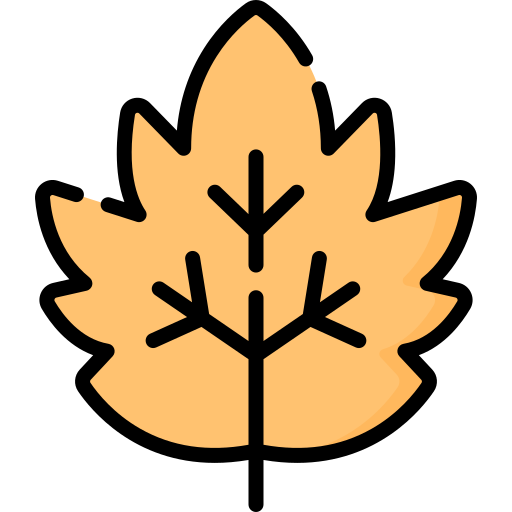blatt Special Lineal color icon
