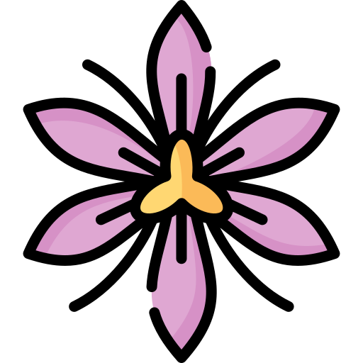 szafran Special Lineal color ikona