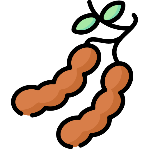 Tamarind Special Lineal color icon