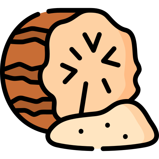 Мускатный орех Special Lineal color иконка